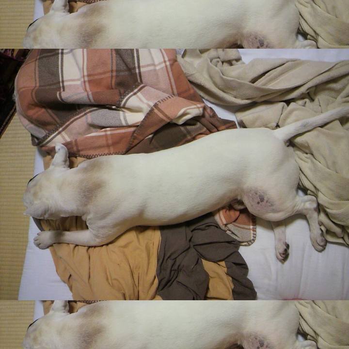 72f02a76 e128 402e a390 25d0f77d30fd