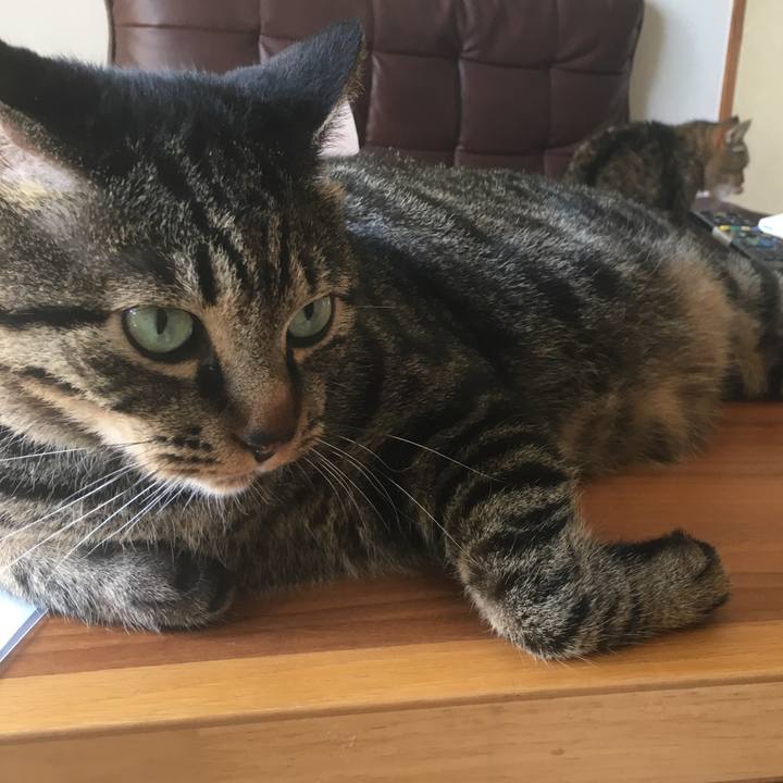 72f02f37 8c68 42da bed0 ff2eaa801cd6