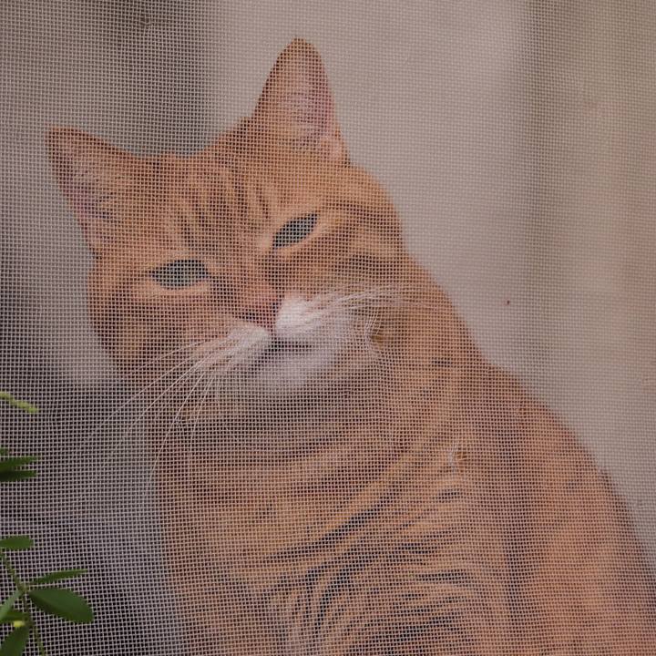 72f05313 06bc 4ad9 8f19 e584327b33b1