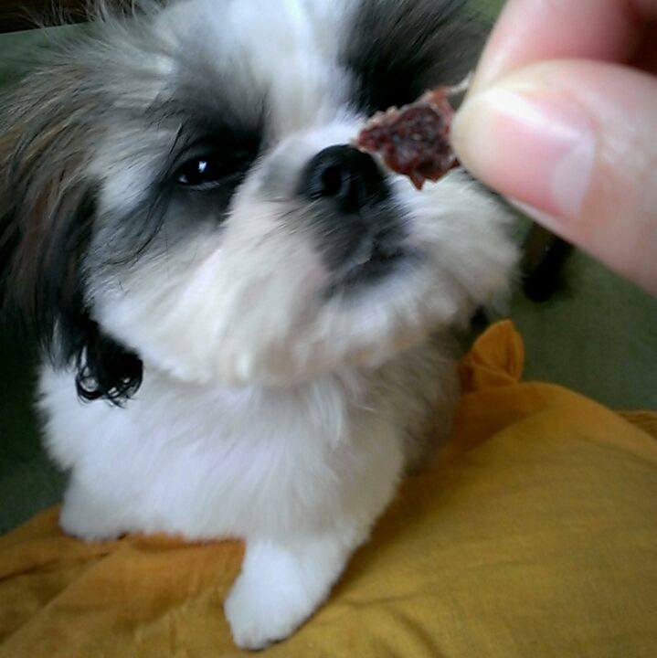 72f06af1 7816 4480 aa9b de234bdaff71