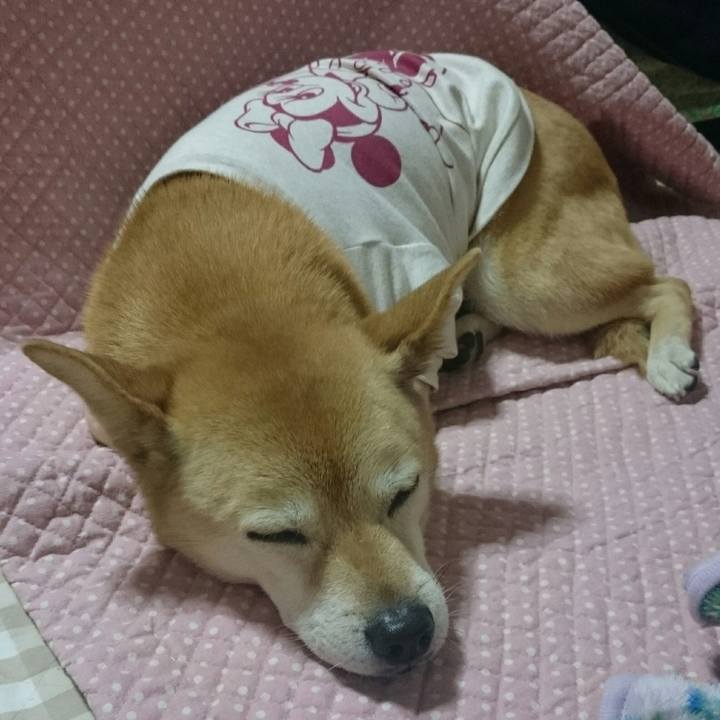 72f2584a 152e 4249 9bca 410265bcdbce