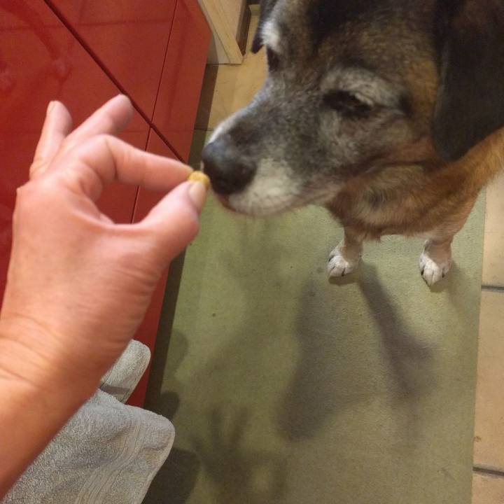 72f27b3c fca2 4f65 9477 34e25939776a