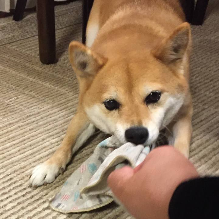 72f2ddea 87c9 4b25 9ec9 0edea5d54938