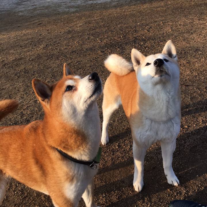 72f3f9ae e66f 46df ada2 fe55e3652a14