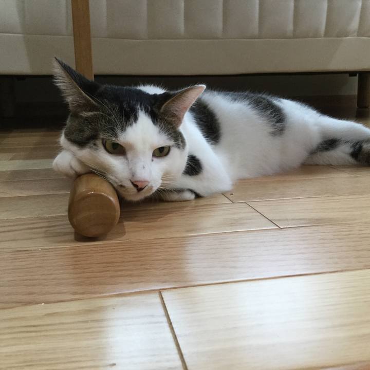 72f47084 7ecf 42b2 b34d ac9cc2f4868e