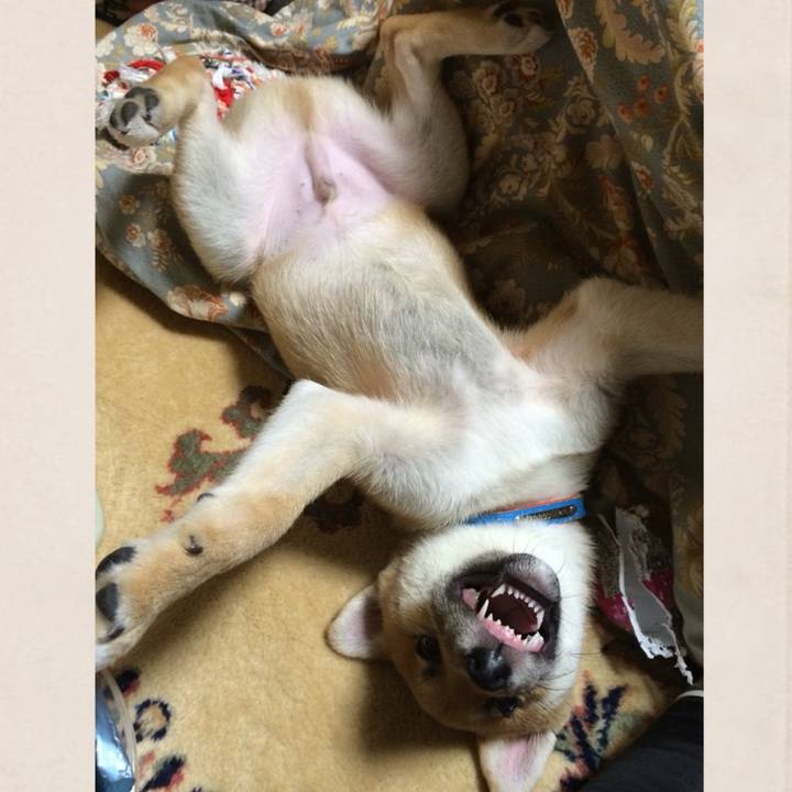 72f483aa be60 483c 980d d246d2d68f55