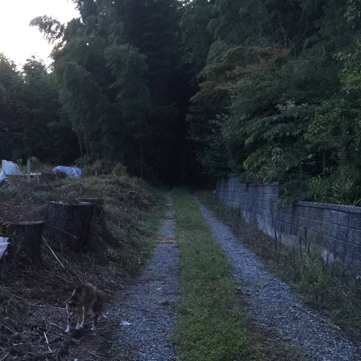 72f4870f 6614 44a8 aa39 4c1c878d8435