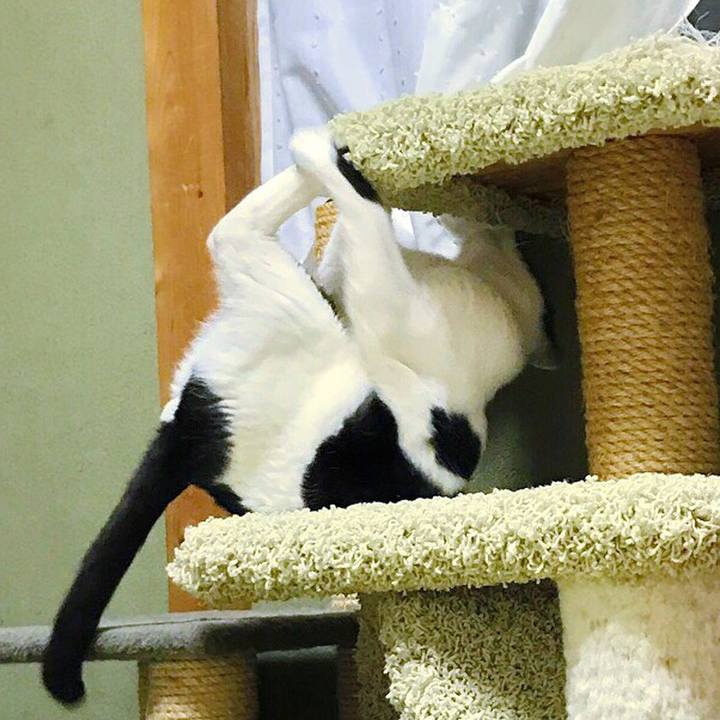 72f62355 a110 4fef 95dc 36f551252e2a