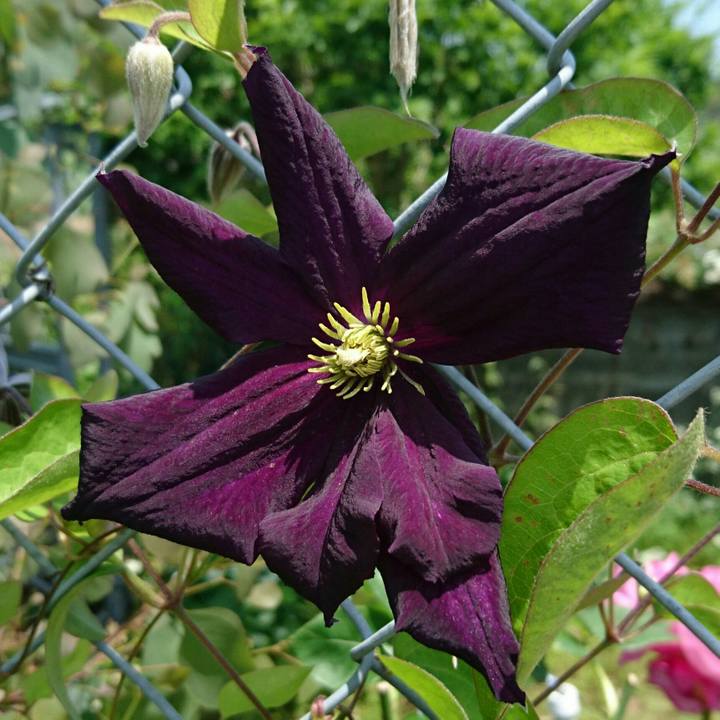 72f63070 f96d 4cb3 bce3 94723b519b27