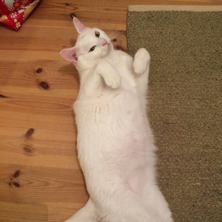 72f670cf dcbf 478b 989e c14d59040dd7