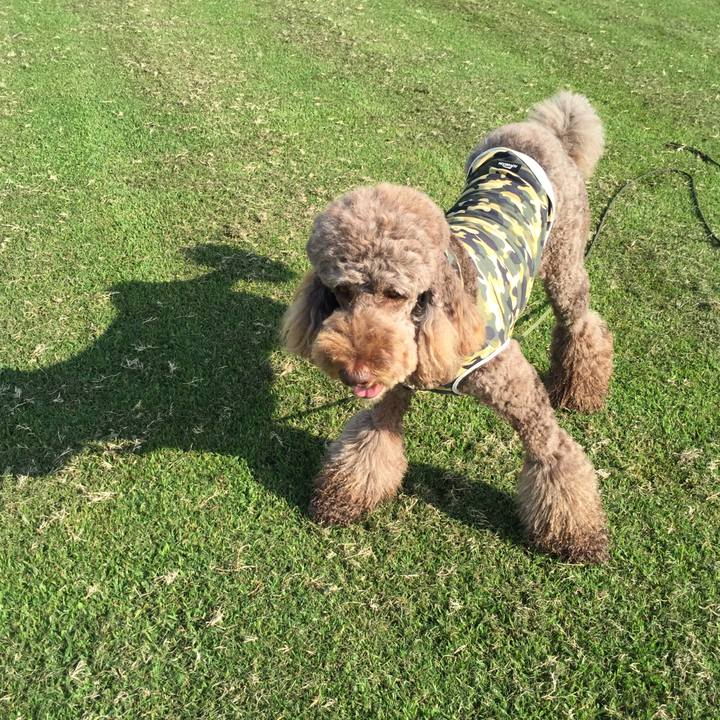 72f6e3c6 d5c5 430e b826 0ff6051658f2