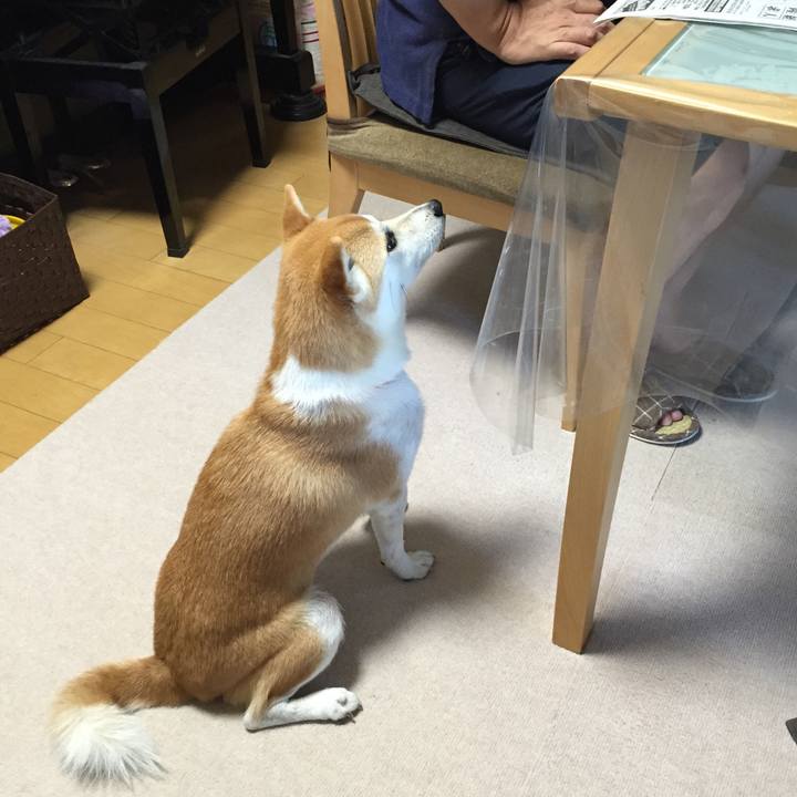 72f7e494 7e3b 46d7 95db e3d770b780c4