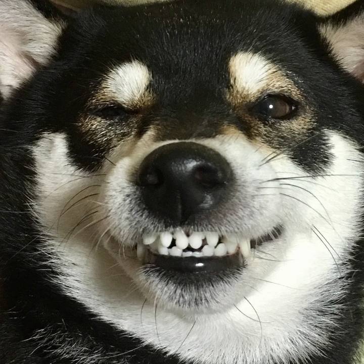 72f7ebba 9570 4e67 a31e 94743d3eadd4