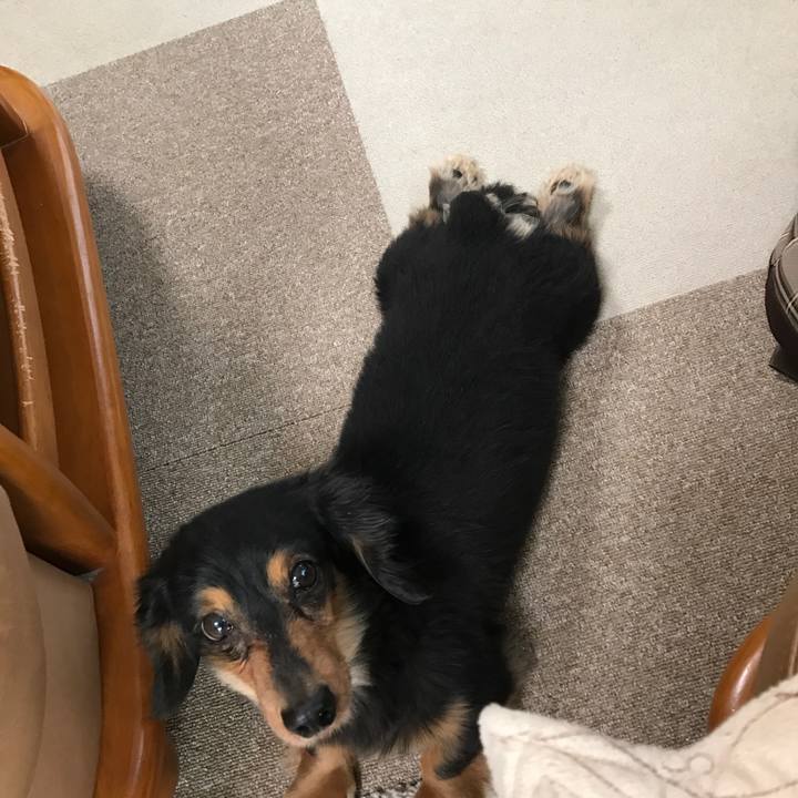 72f83a69 944e 4005 ae45 fccc4d1e915e