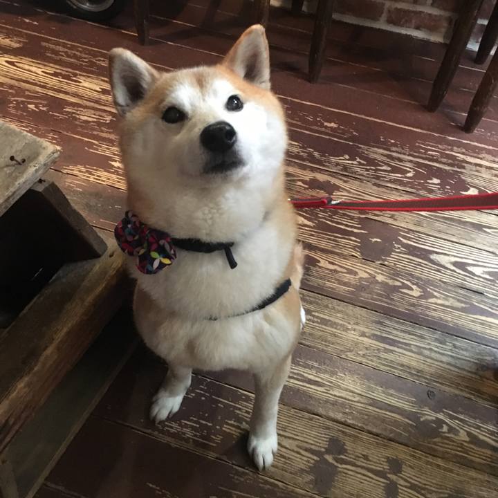 72f85838 eaac 4076 94da 9de421cf7c46