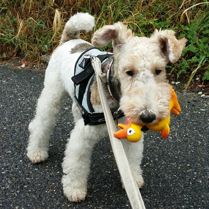 72f98b78 8b76 4cb6 ab9c 95d29805f7a7