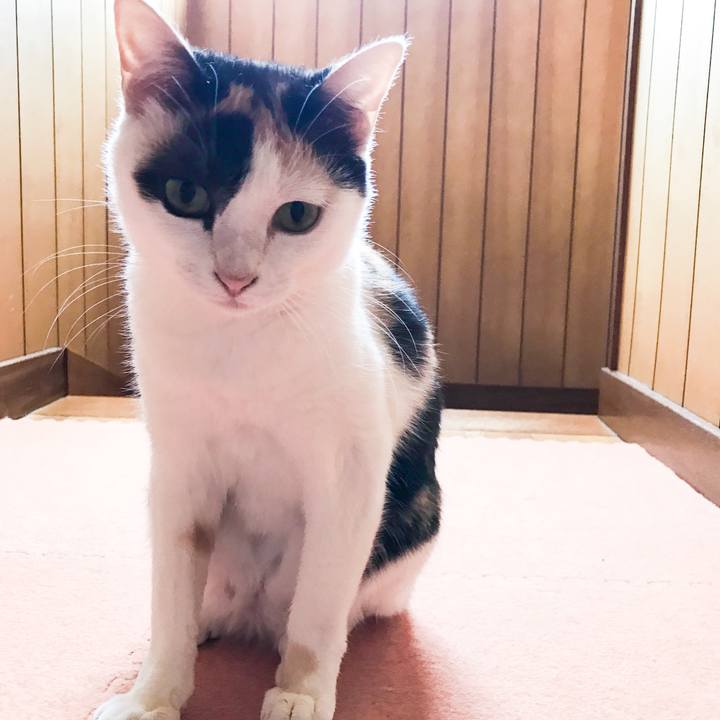 72f9a365 9bdc 4757 b731 f6c6cd7b7226