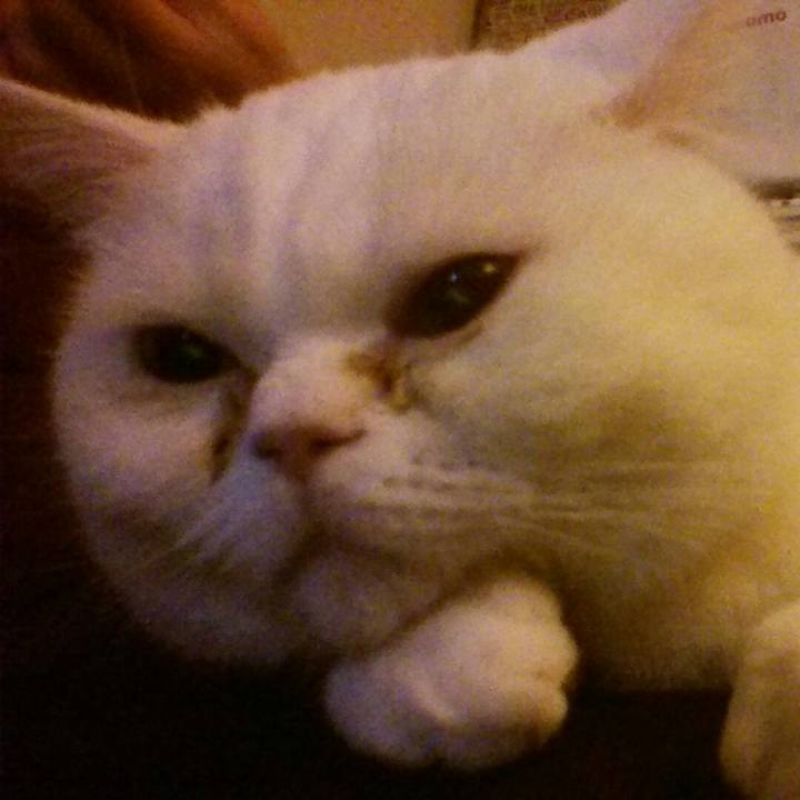 72f9d3fe 8cec 421b 86d4 2fc1e668b189