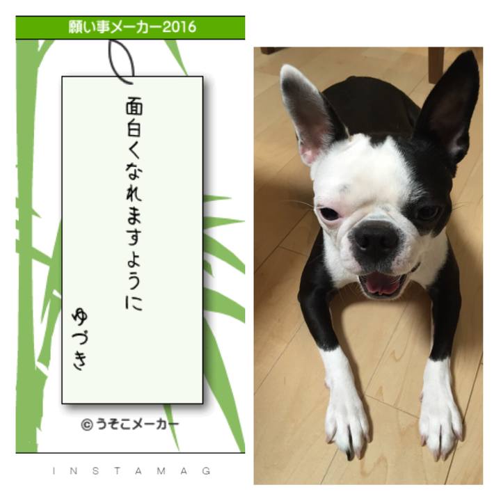 72fae688 4b2d 4719 b39f 6227c79a06c5