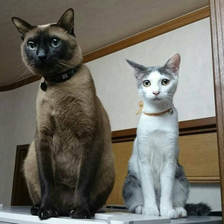 72fc6930 883e 484f a972 9f39da9948d5