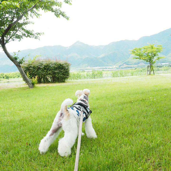 72fc7d1e 7842 4d36 8ff0 dcaa3dffad13