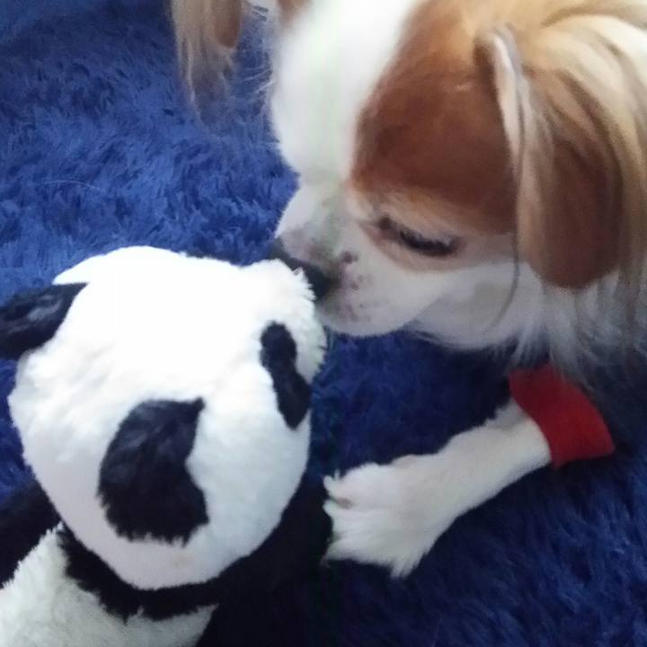 72fd0ed6 f20c 4960 8a98 7e74ac193683