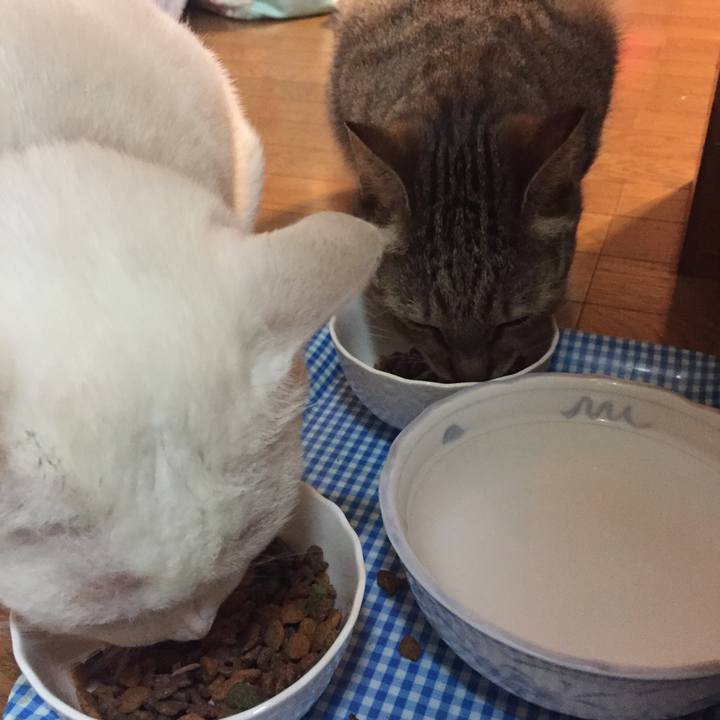 72fd67eb e592 4455 b61f 6a8b45c8f76a