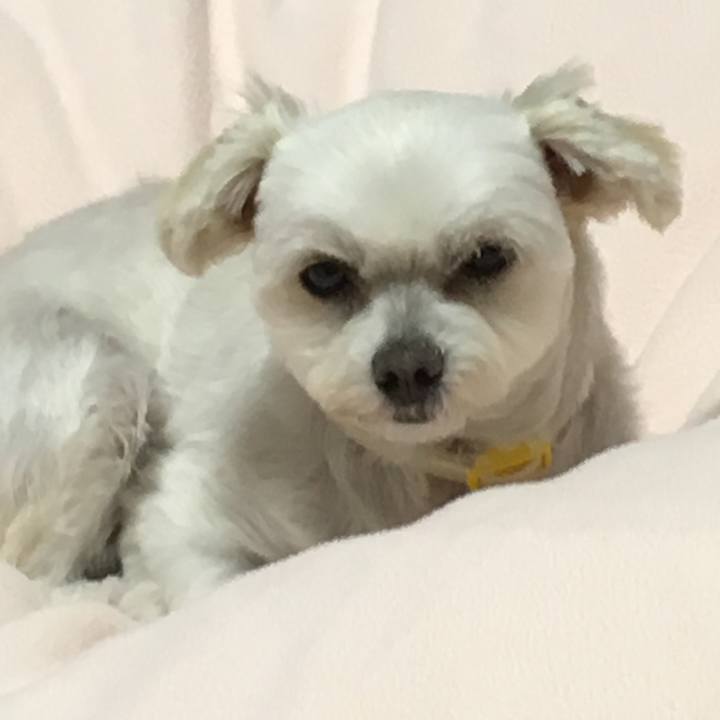 72fd800d d9b4 43c6 830e e8f2f629bafb