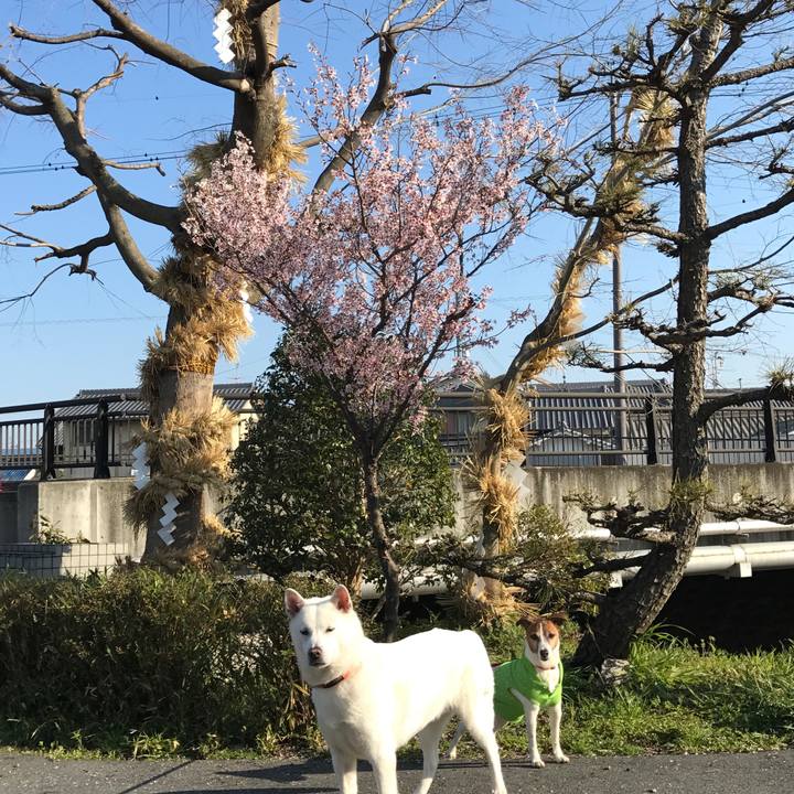 72fe0d4d 8854 4f1f 847b 50ac47dd96b1