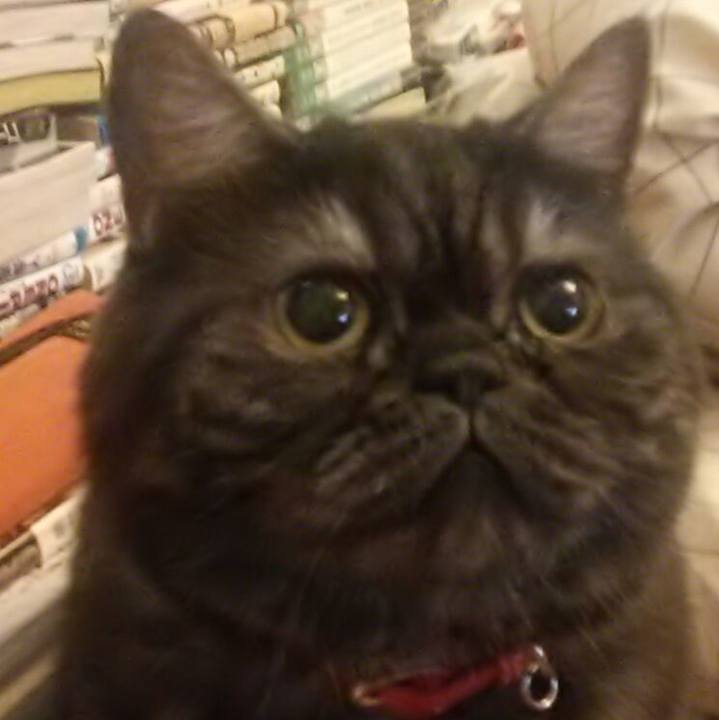 72fe813a 1c17 480c af8b 7aa03119e09b