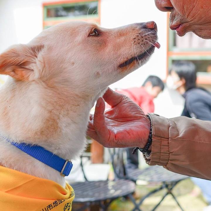 72fea28a 4ef8 4b55 b235 90485e13246b