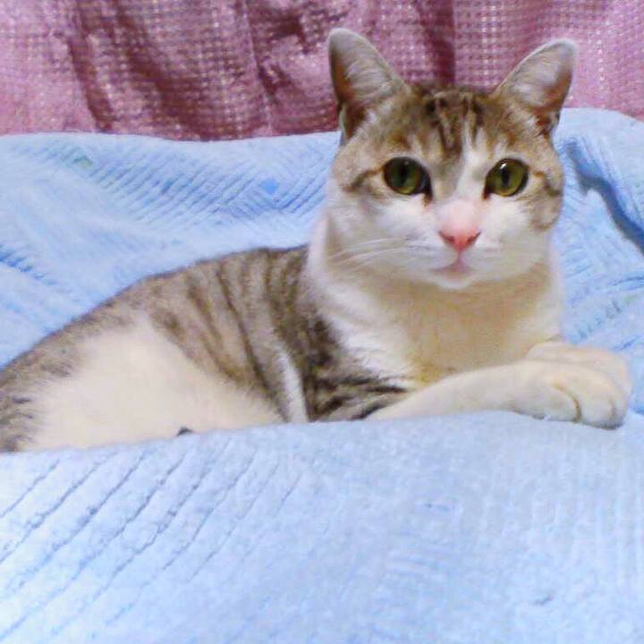 72fea5dd fddd 462a 8930 3584a08a7d02