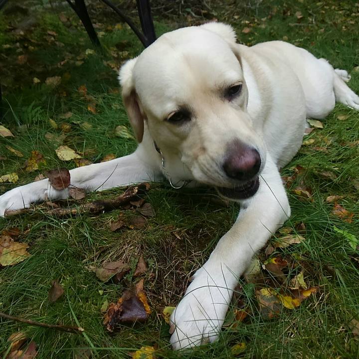 72fec4b7 f3a1 45bc b008 4810cf262517