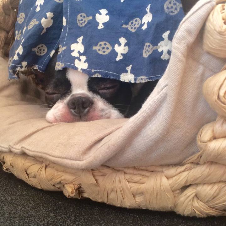 72fec567 b382 4ac0 8a49 3597aa8a9de1