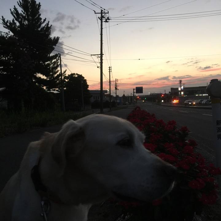 72ff1364 d7d4 4b0b 9ad9 737ff569a384