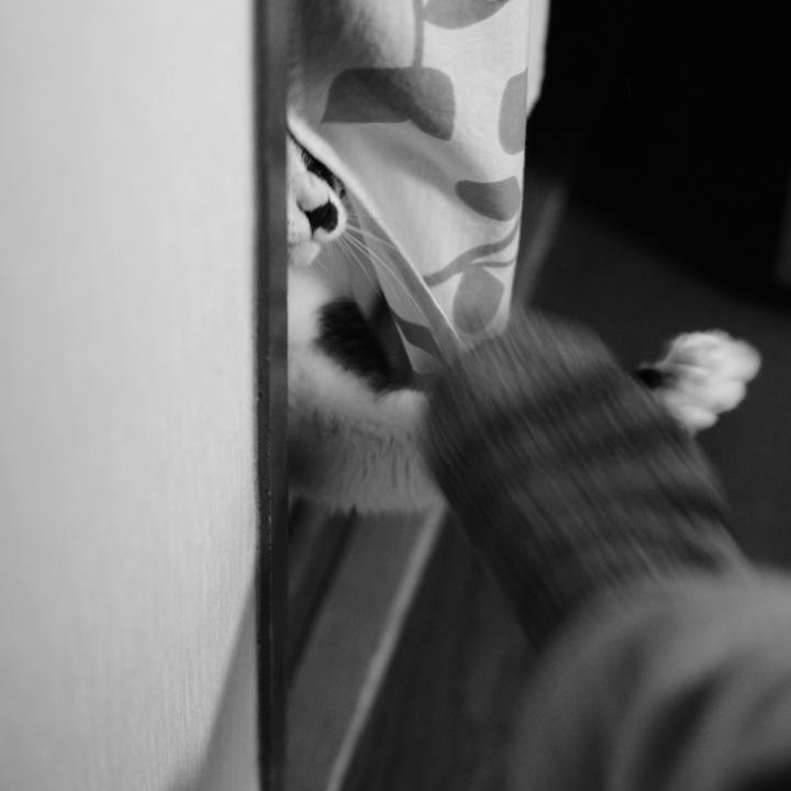 72ff41b6 394c 49ce 8d19 cd60e556f394