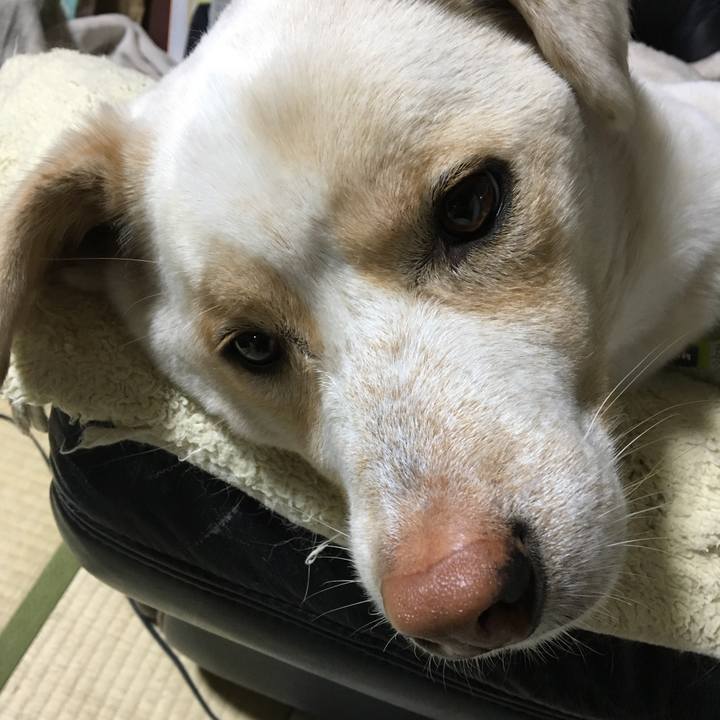 72ffb587 4d51 4950 a8d0 44ef69764636