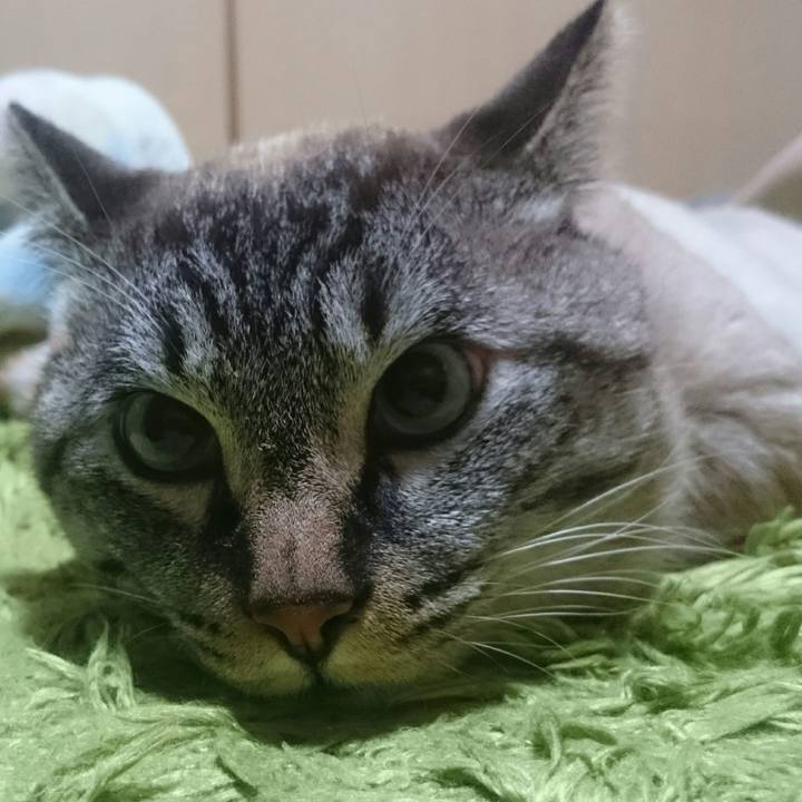 72ffb6c5 bde7 4deb 9ca9 5d019a4b4c35