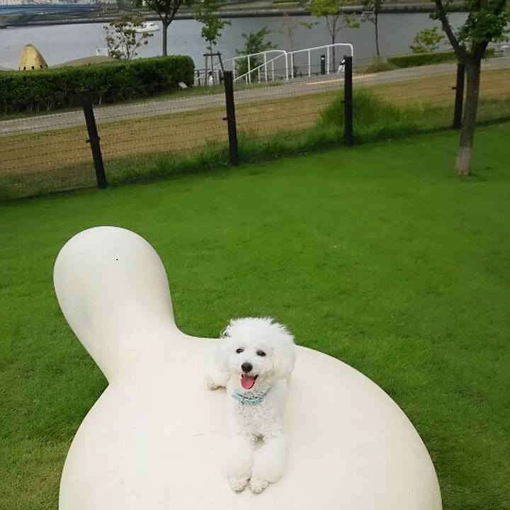 72fff9e1 7cbf 49b2 af9b 392a5feabc6d