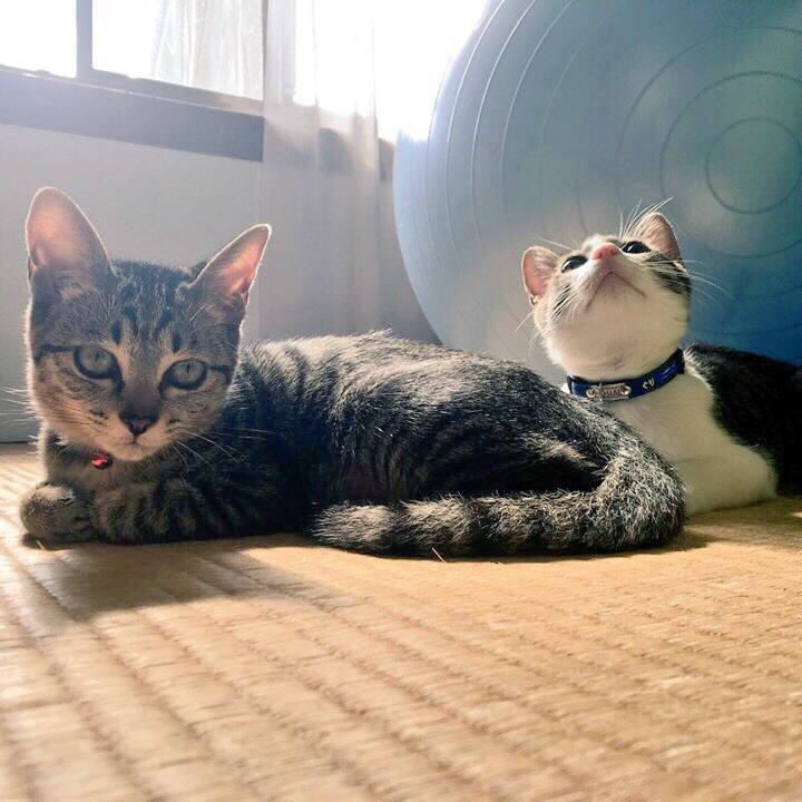 7300217d 001f 427d 9ec8 b3cacd77d59d