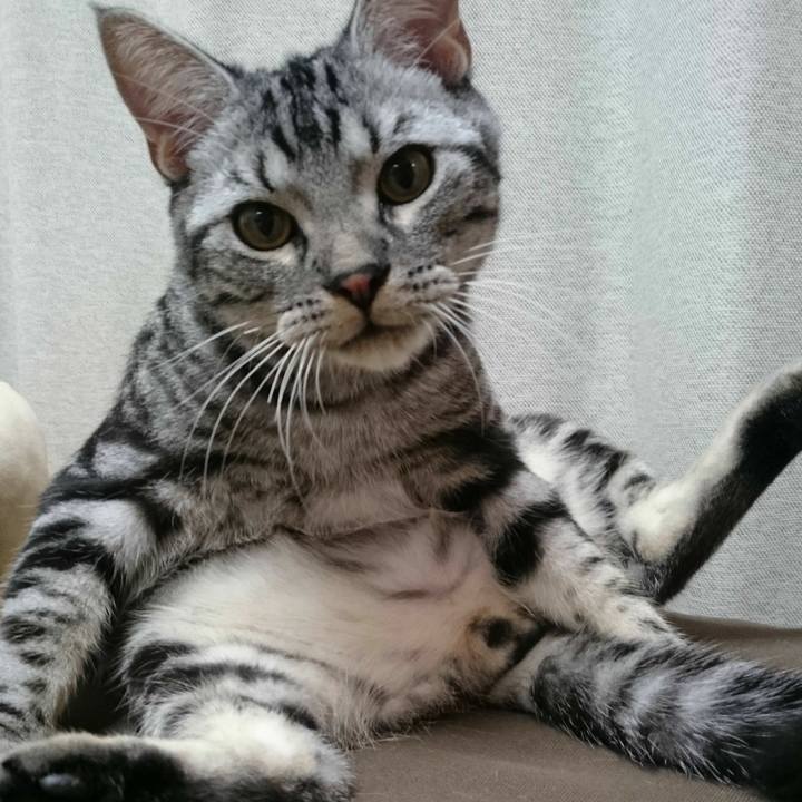 73008305 3e92 4975 a001 34f41b757450