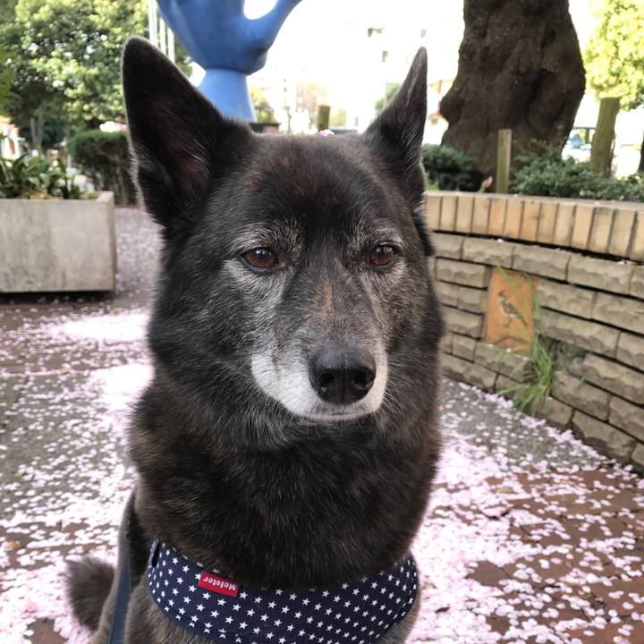 7301154d 18c0 4bbe 99eb 26a1434cfc98