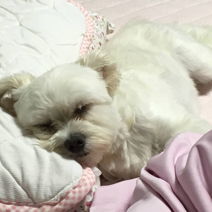 7301215e 3822 47f0 8614 1d653d957913