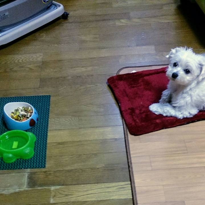 73012bbf 78ec 49c0 a232 0210a971ab32