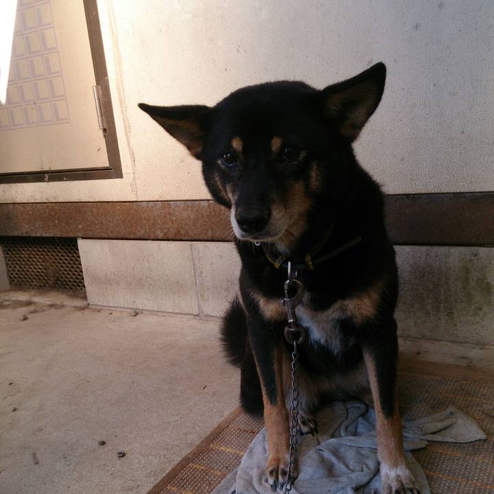 7301a51d d061 4f3e 8de9 b0e44d0a505c