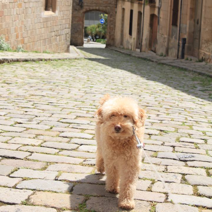 730214f3 b55d 4877 91da 62678a386324