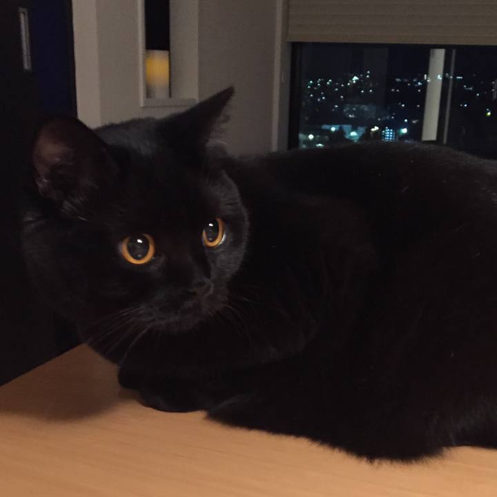 73021d38 5bd7 45d5 8e6b e479b605f4a3