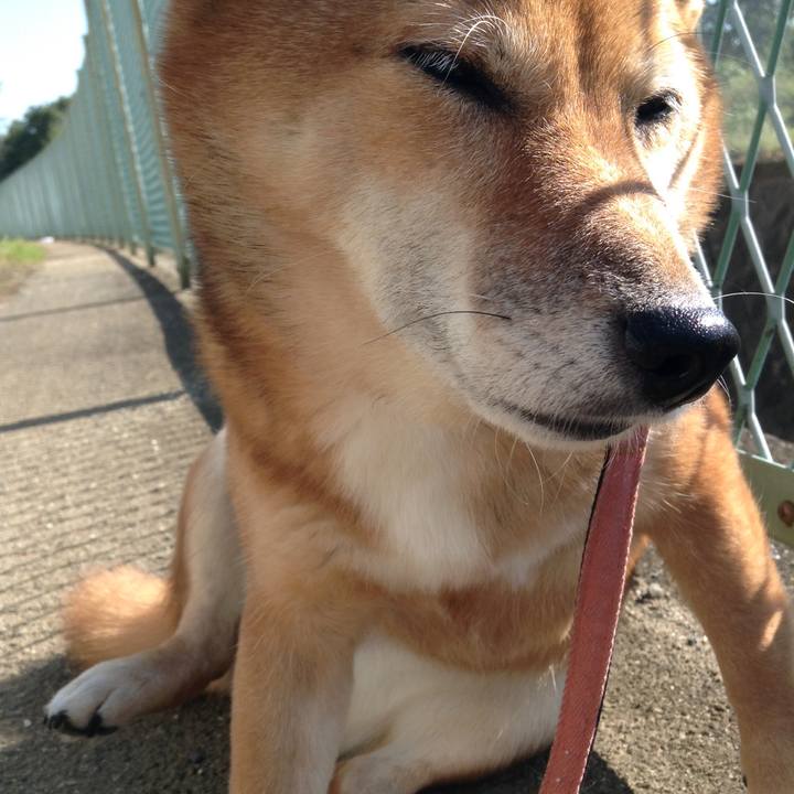 73031bd7 f2f3 443f b3d5 2c033fb745ac