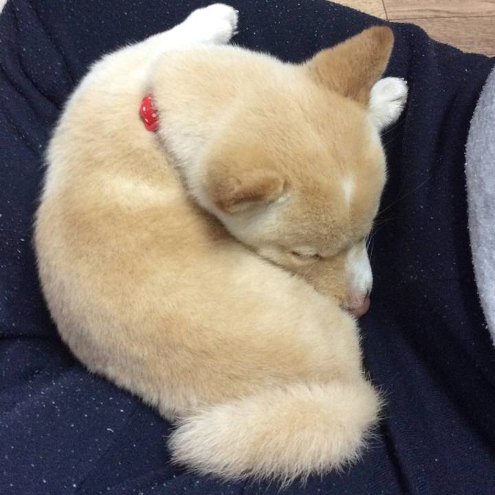 7303a202 e2a1 4b38 95e0 6f018676fa69