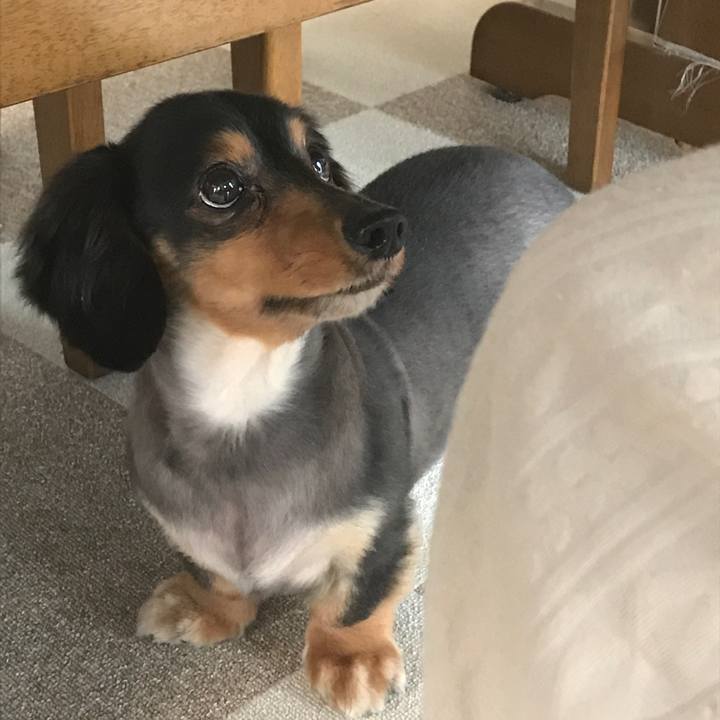 7303c0ca 5625 421d 9a01 6aa92270f691